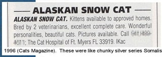 Порода кошек аляскинский снежный кот